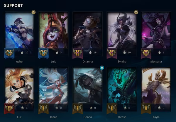 Support Champions in League of Legends